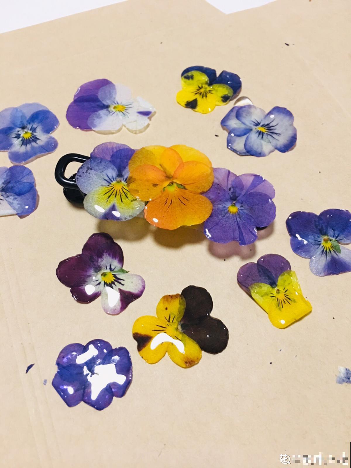 花瓣叶子摘下来，烘干后压一压，就能变成画！
