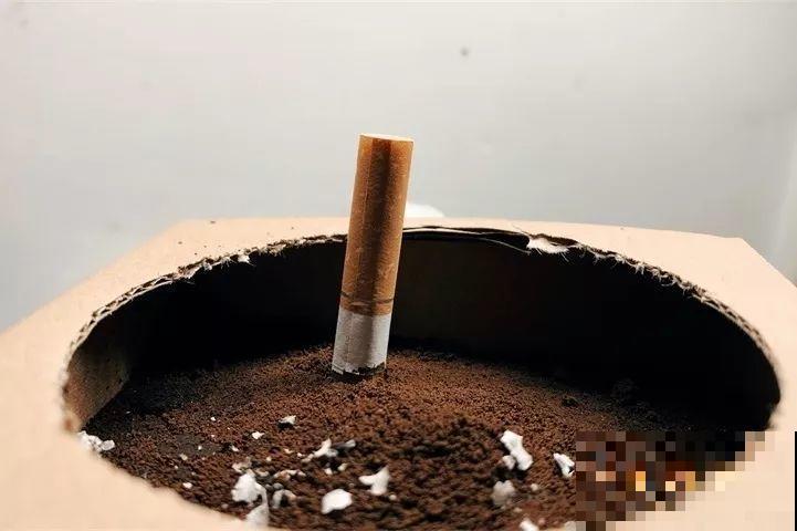 这东西不要钱，撒土里花蹭蹭长，放卫生间能除异味！