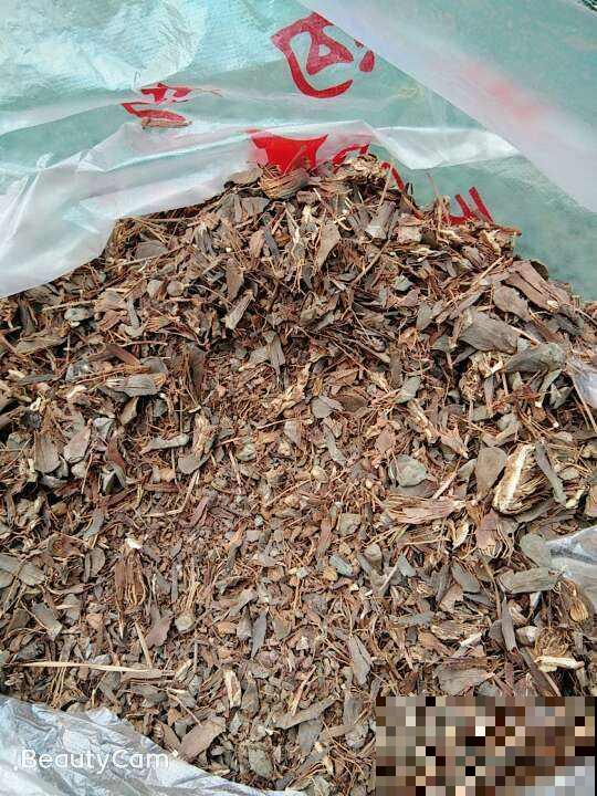 土里掺点它，养花10年不烂根，特透气
