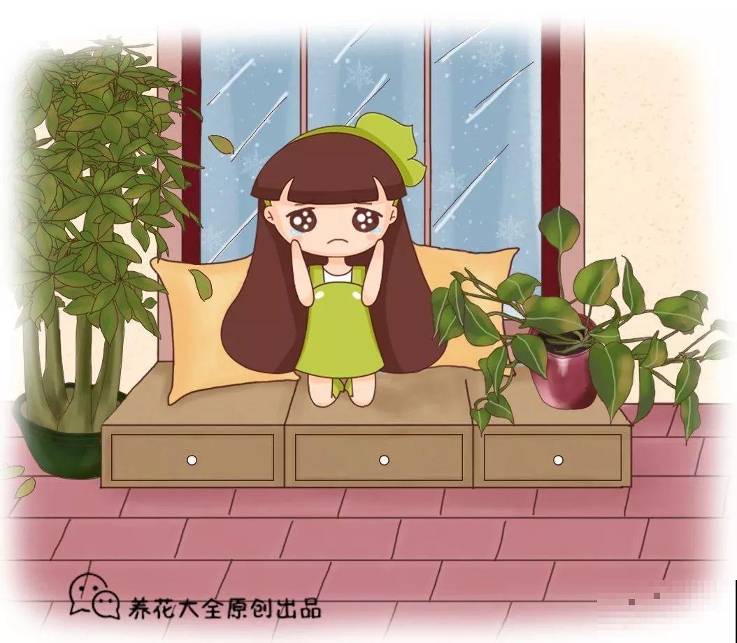 20种花最怕冷，一降温就黄叶，不做准备只剩空盆了！