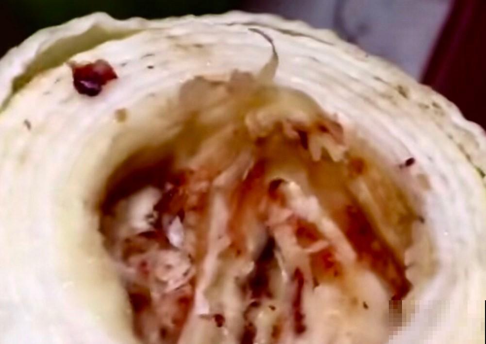 这花种球腐烂不要丢，修修剪剪又能拯救回来，开花多到停不下！