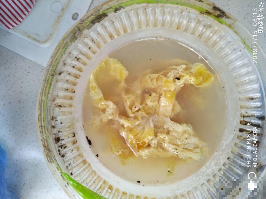 淘米水里加上它，没有异味肥效翻倍，给花用点叶子绿油油！