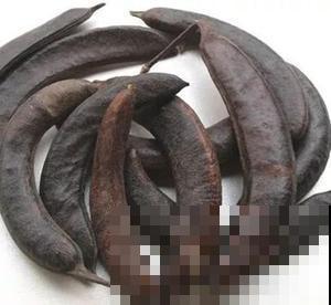 原来古代人都用这个洗衣服，环保不伤手，花盆里就能栽！