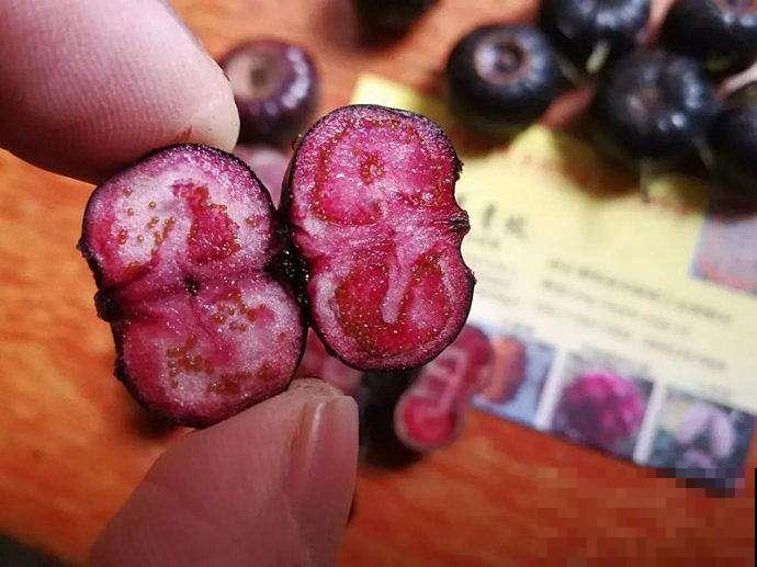 这植物结的果子挺吓人，实际全株都有大用处，好多人上山挖来卖