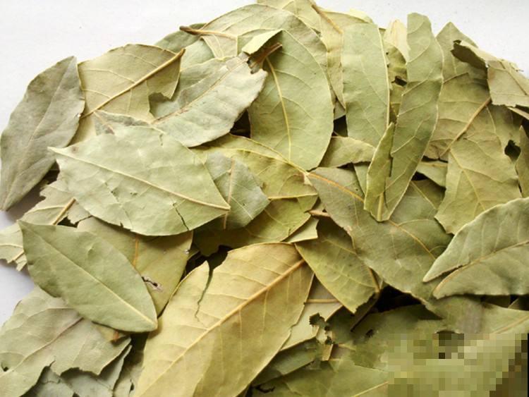 这些植物，叶子晒干碾碎，就是火锅底料！