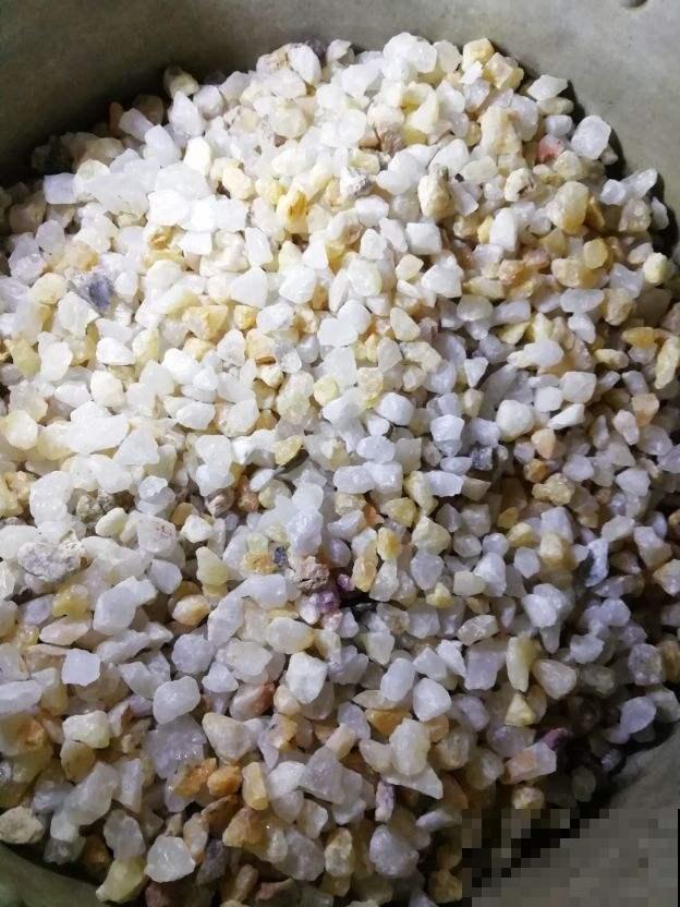 多肉铺面到底干嘛使？几十年的老花农：用处多得很