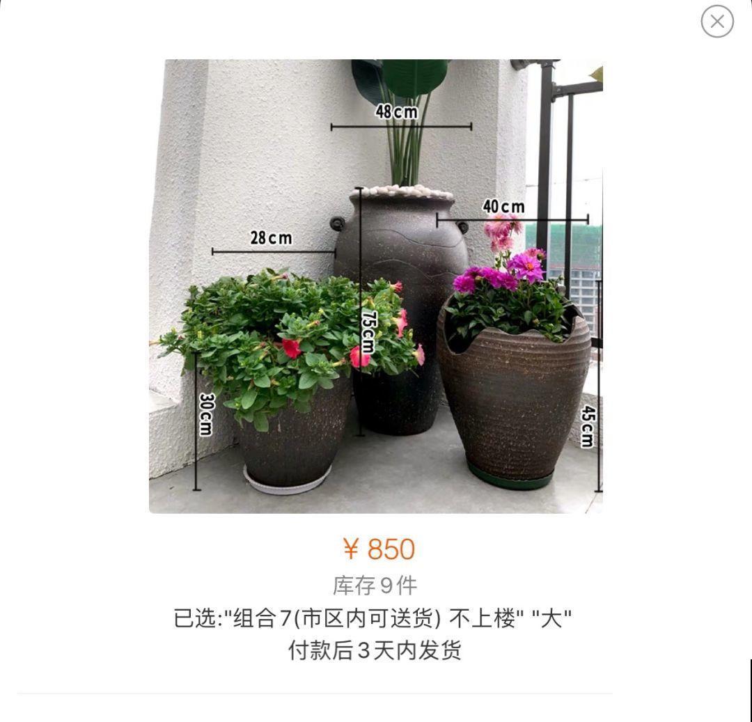 他用菜坛子养多肉，1分不花又好看，个个壮得像白菜！
