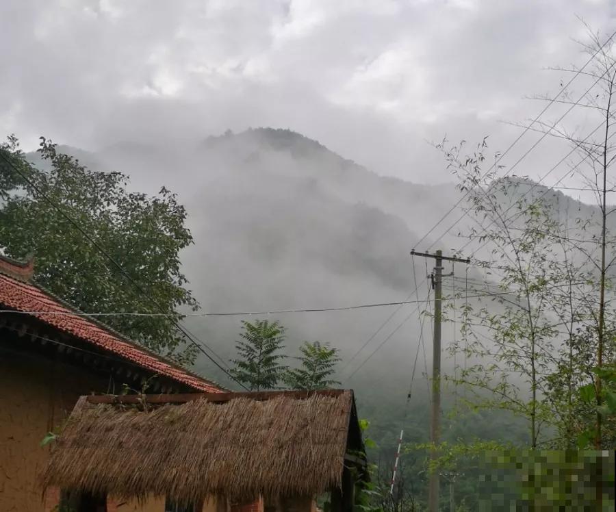 许我一片荒地，还你一园芳草，陪你养花到老！
