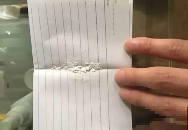 月季好看不敢养？教你6个窍门，年年开花不黄叶！