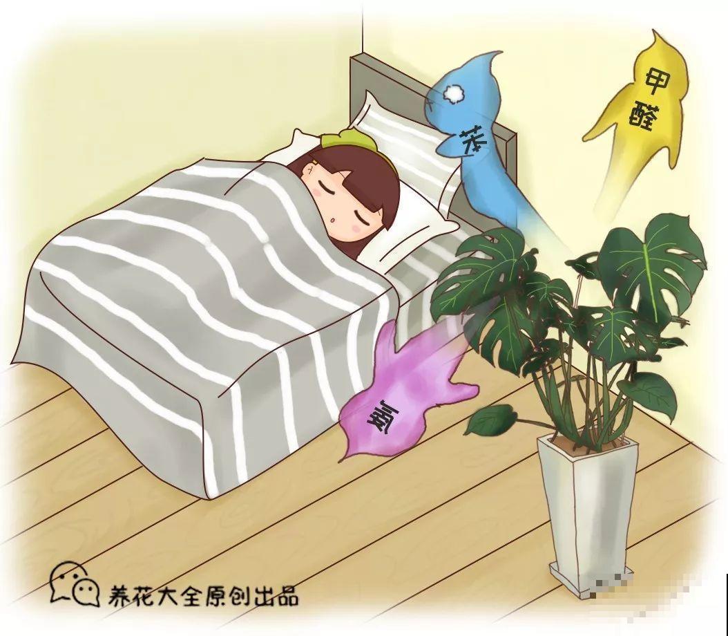 客厅养花不能看心情，注意这两大忌，选对了全家受益！
