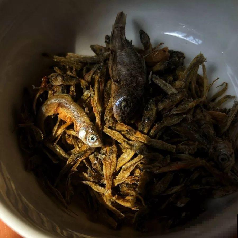 养花种菜和收拾小院子，这种自得其乐，是旁人体会不到的开心！