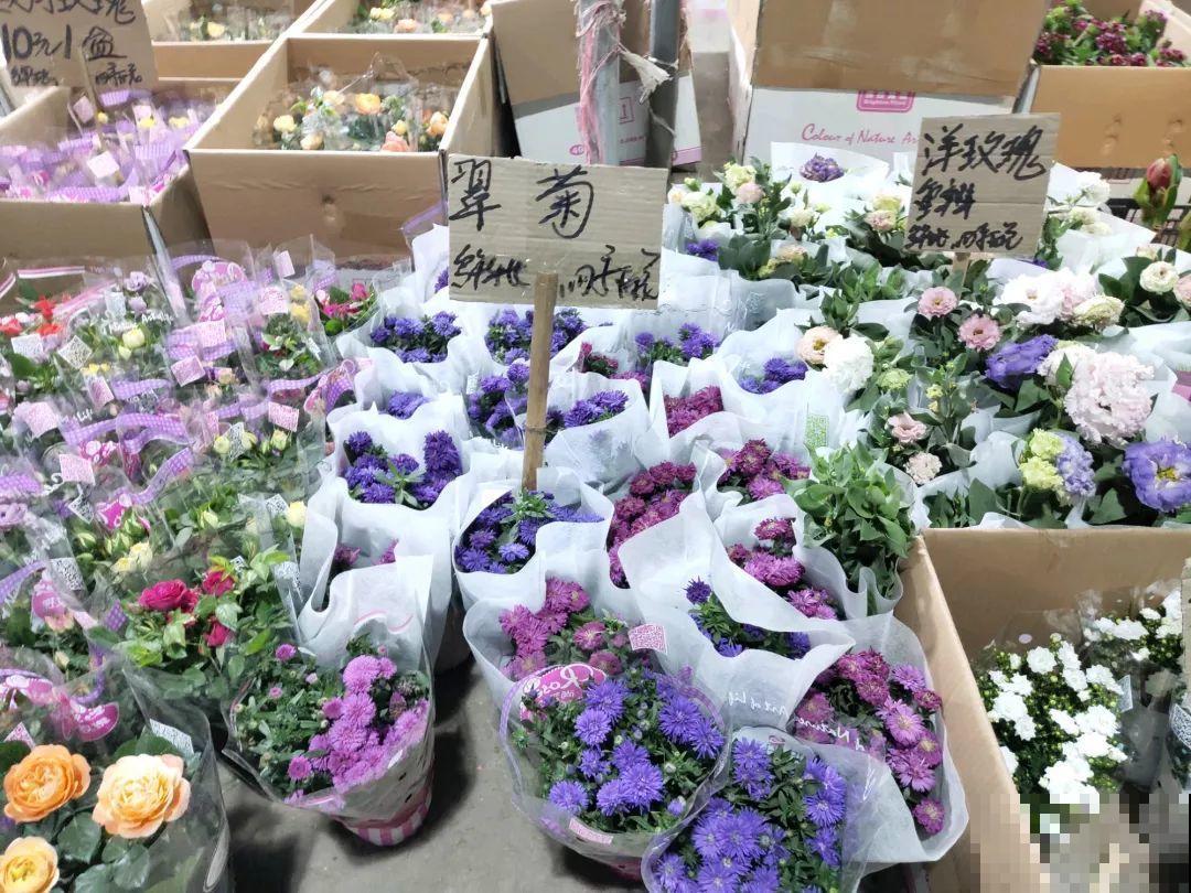 12月逛花市，这花好看又好养，遇到赶紧抱回家！