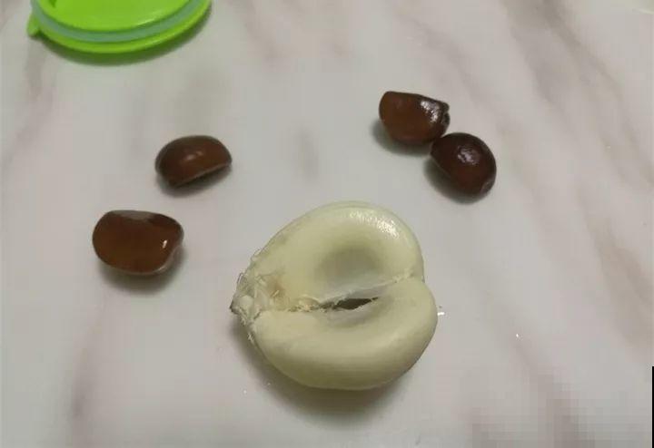 5块钱的水果埋土里，半年养成守家树，邻居都想花钱买！