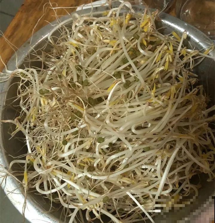 15块的黄金菜，自己在家就能种，成本只要1块钱！
