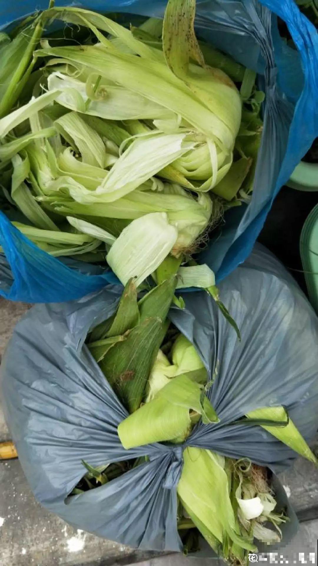 土里掺点它，旧土也能变肥土，花用了疯长不停！