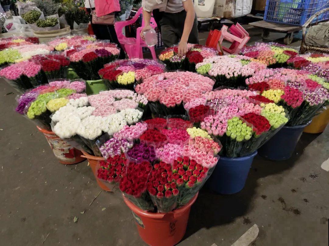 12月逛花市，这花好看又好养，遇到赶紧抱回家！