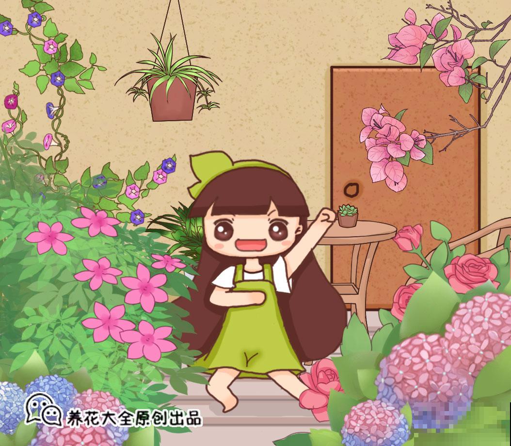 养花人必知的3个技巧，学会之后，叶子油绿花开爆，谁见了都羡慕