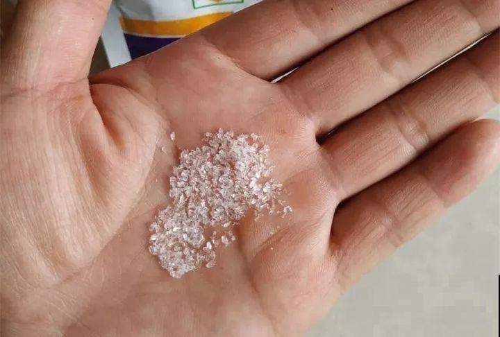 院子里养花，一盆水浇下去，一冬天都冻不死！