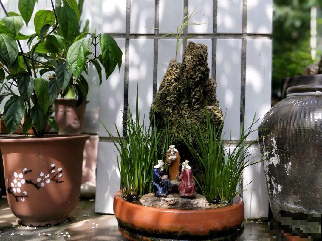 想养好花，就得付出劳动，从开花到结果，无一不是美的！