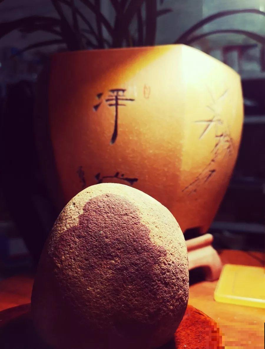 养花种菜和收拾小院子，这种自得其乐，是旁人体会不到的开心！