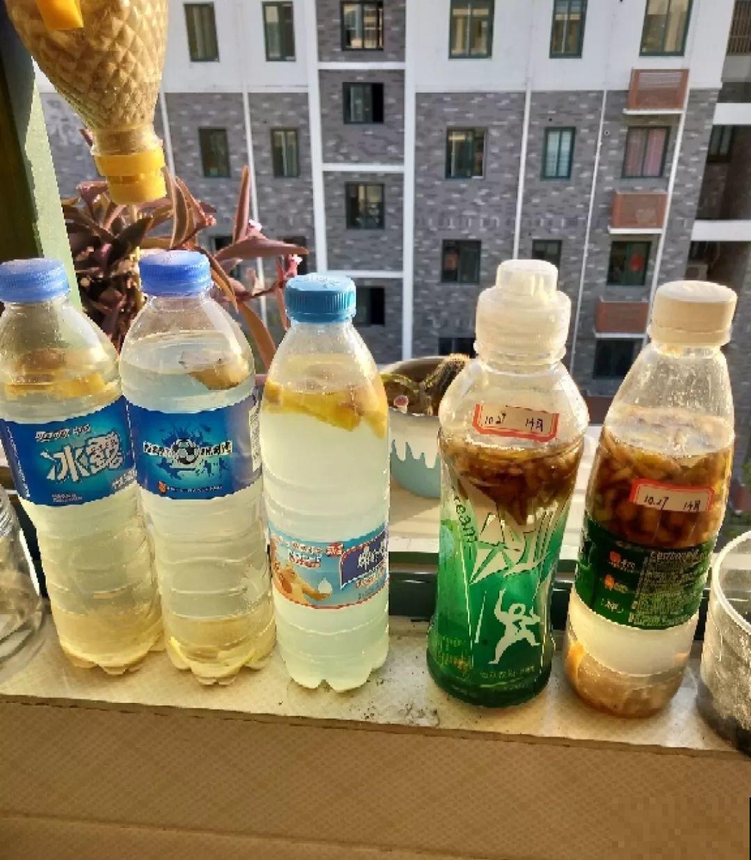 有了这4种肥料，三角梅长得壮壮的，一年能开好几茬！