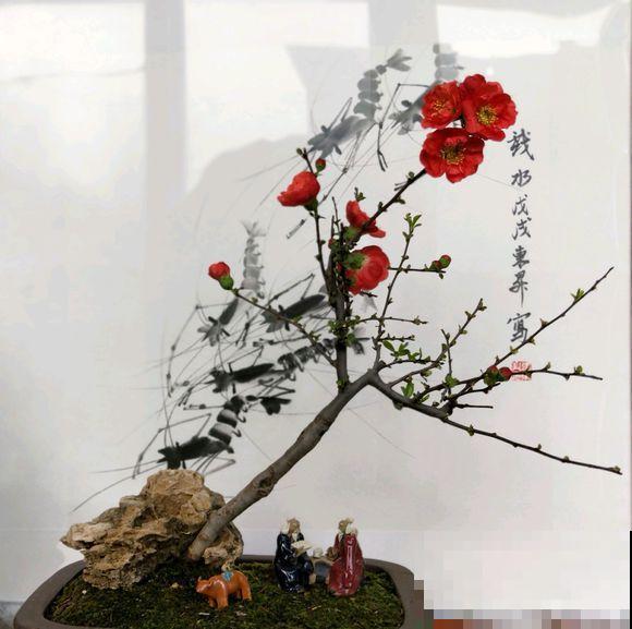 人养花，花也养人，越养你的气质就越好！