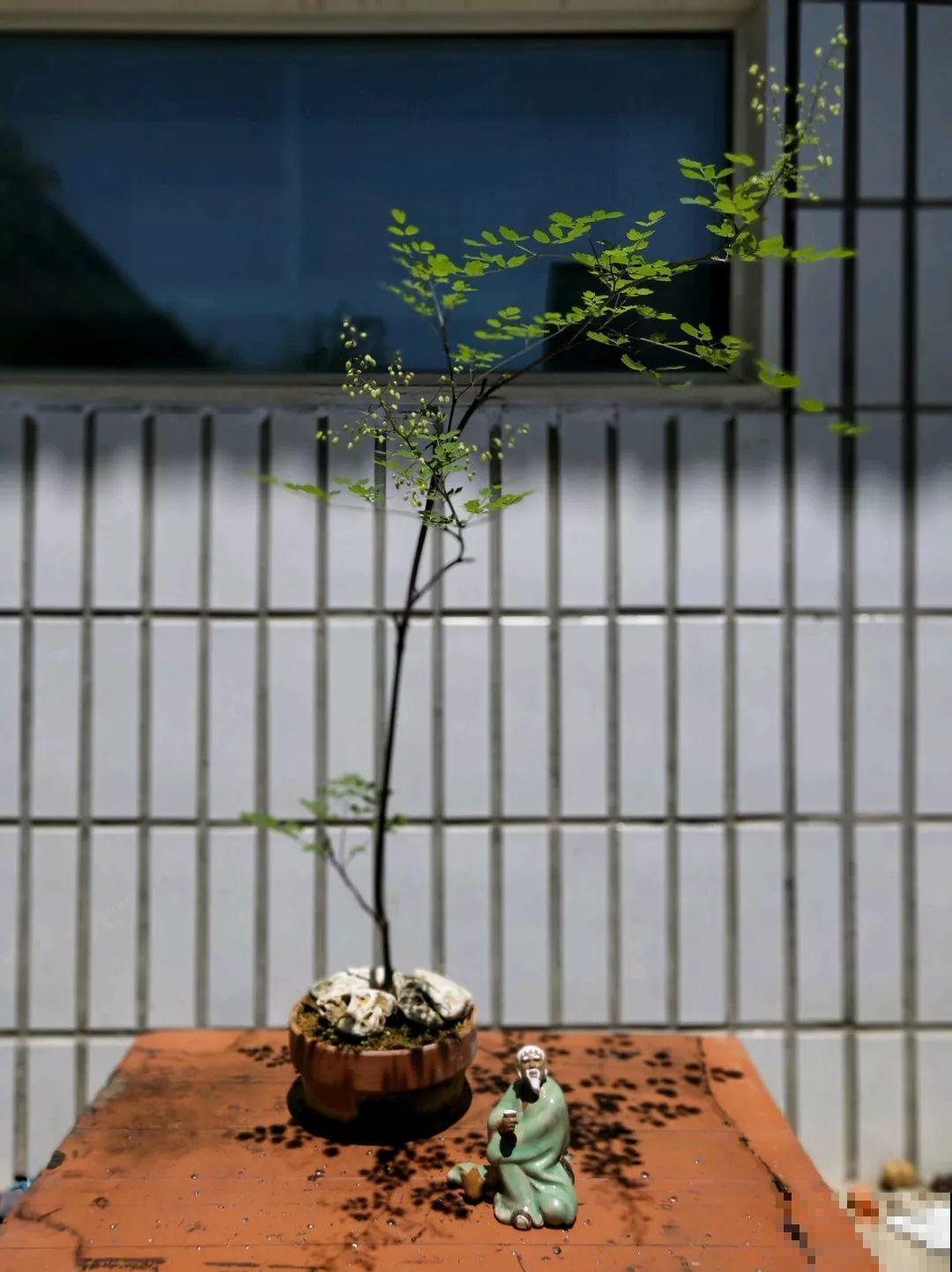 想养好花，就得付出劳动，从开花到结果，无一不是美的！
