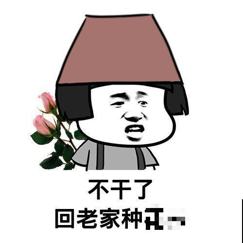辞职回乡，这是他为养花做过最疯狂的事，却让人人都羡慕！