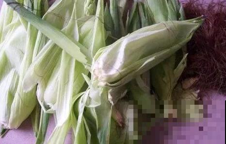 玉米棒别烧了，在国外还得花钱买！再不济拿来养花也行啊！