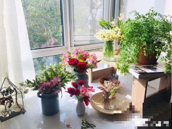未来半个月，这6种花要涨价，人人抢着买！