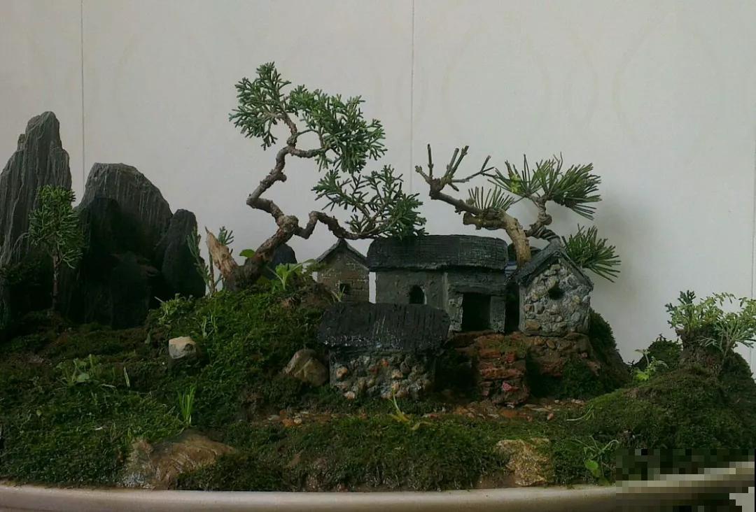 路边的石头野草捡回家，摆在盘里就是盆景，看完你也会做！