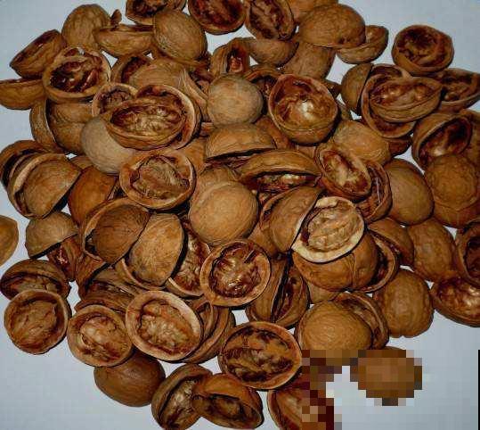 吃剩的栗子壳、瓜子皮别扔，这样塞盆里，过完年就成高级养花土