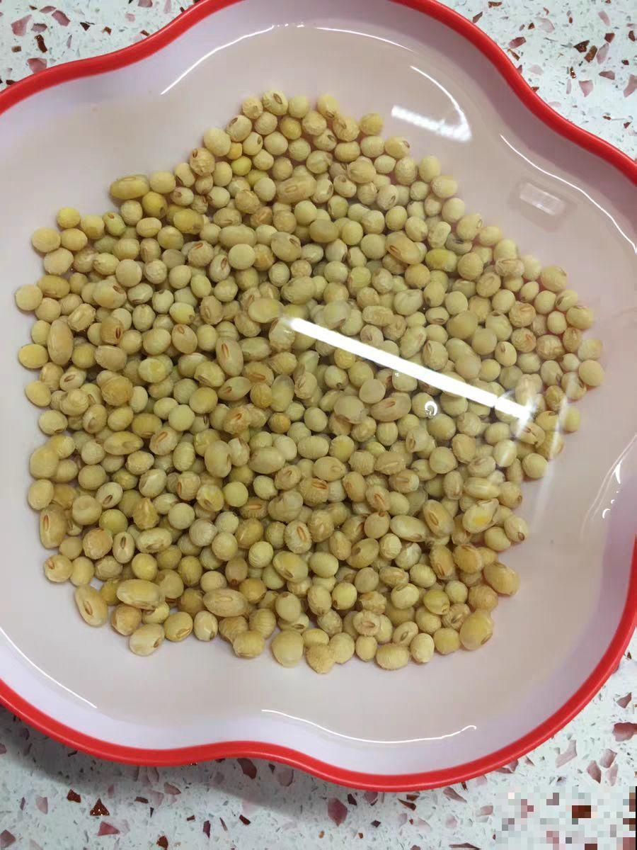 一个矿泉水瓶，半月种出大蒜苗，方法简单，吃着还放心！