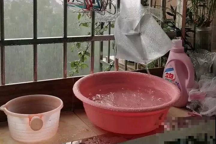 家里植物都这样了，换盆是关键，啥花都能养长久！