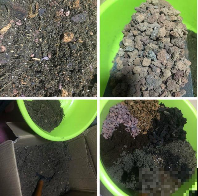 养花不注意看这里，一浇水就烂根，叶子哗哗掉！
