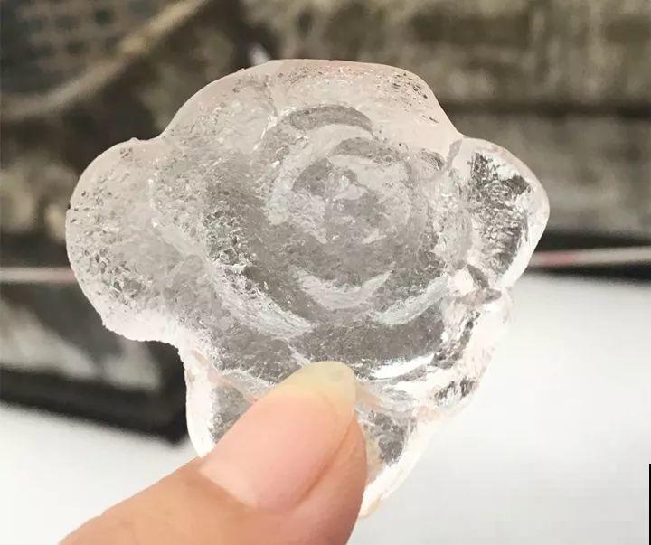 多肉忘了搬回家，一夜冻成冰疙瘩，手一碰哗哗掉！