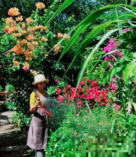 为了养花，她跑到海南，用10年把荒岛变花园！
