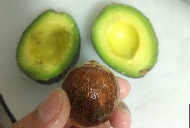 5块钱的水果埋土里，半年养成守家树，邻居都想花钱买！