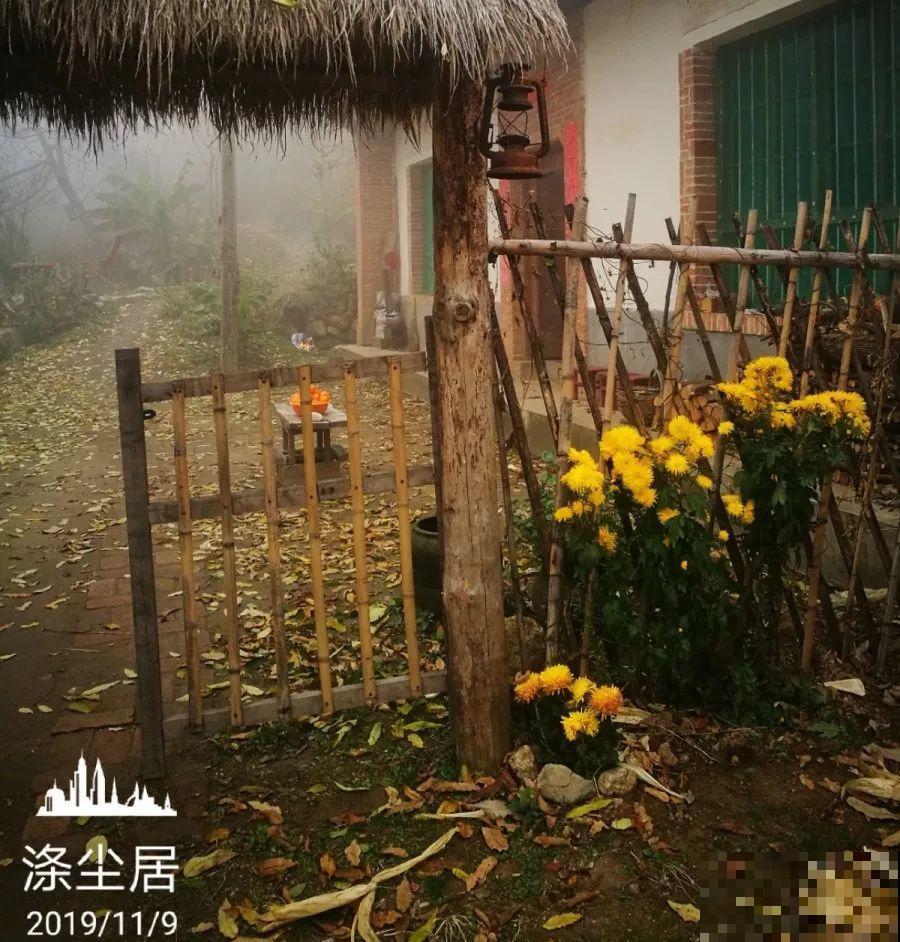 爱养花的人，就想有个小院子，喝茶赏花，过平静的日子！
