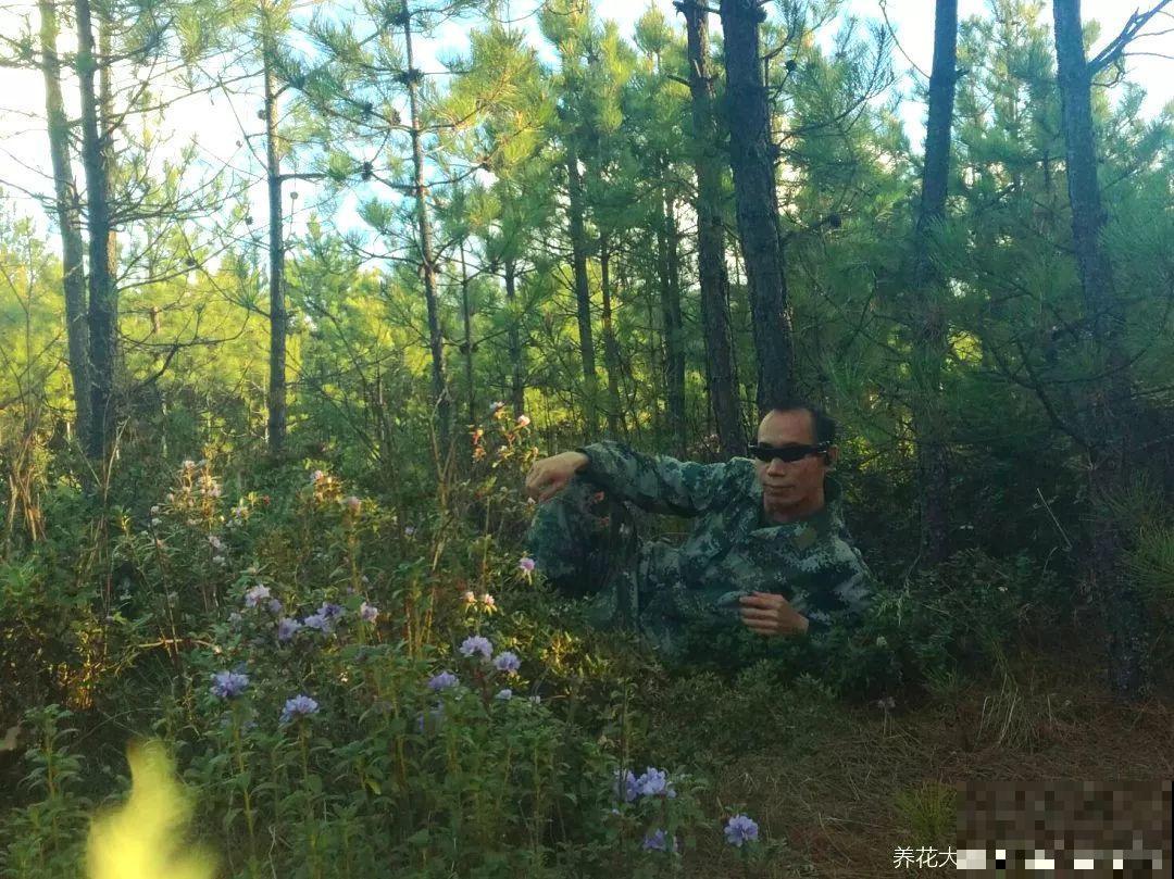 辞职回乡，这是他为养花做过最疯狂的事，却让人人都羡慕！