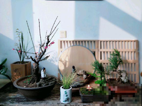 人养花，花也养人，越养你的气质就越好！