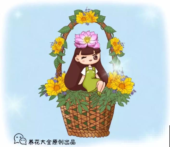 你是几月出生的，对应的就是什么花，快看准不准！