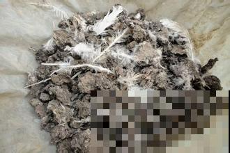 生活中常见肥料，不要错失，用起来绝对不亏！