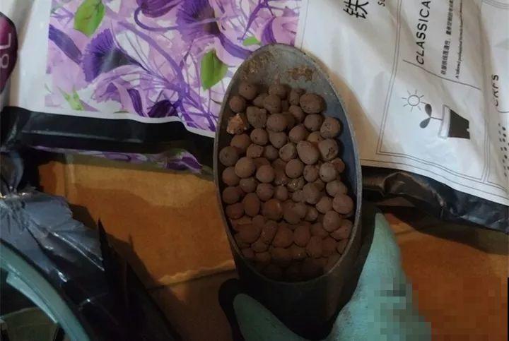 封闭阳台养多肉，学会这5招，比露养还好看！