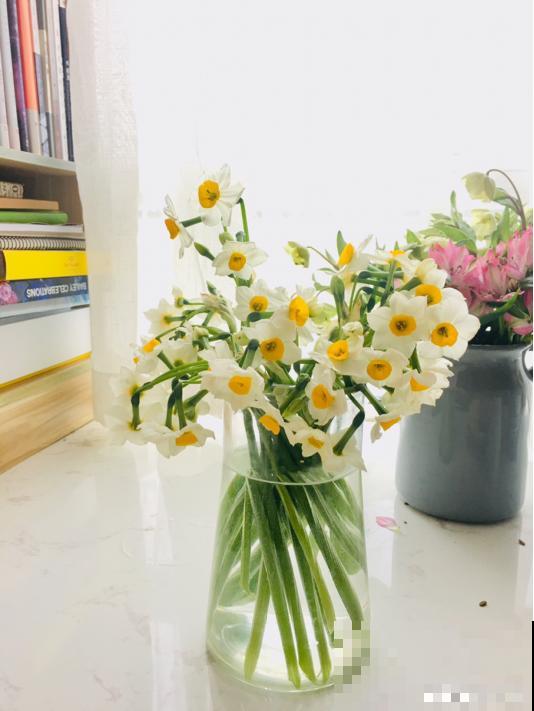 未来半个月，这6种花要涨价，人人抢着买！