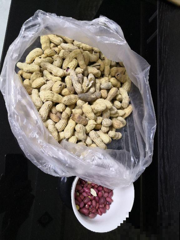 张奶奶在盆底垫了它，花不黄叶不烂根，俩月能蹿半米高