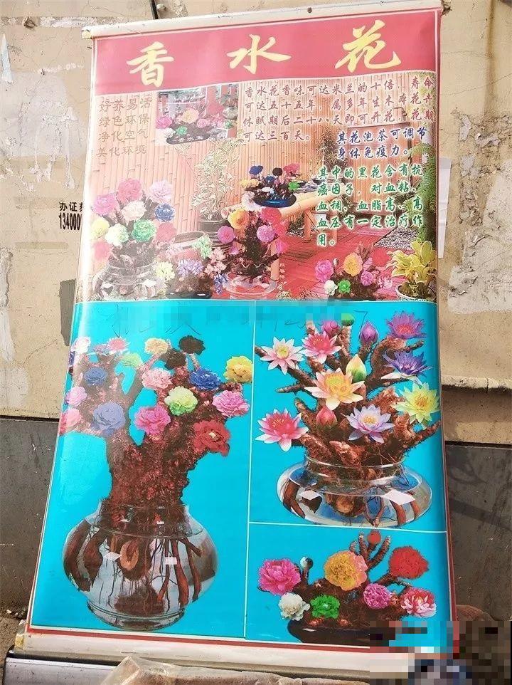 赶集碰见这种花，一买就上当，决不能贪便宜！