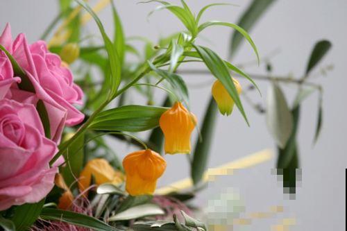 这花国外叫圣诞百合，一道冬天就卖断货，中国人起的名字更好听！