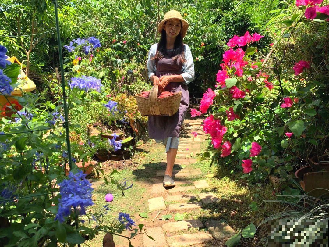 为了养花，她跑到海南，用10年把荒岛变花园！