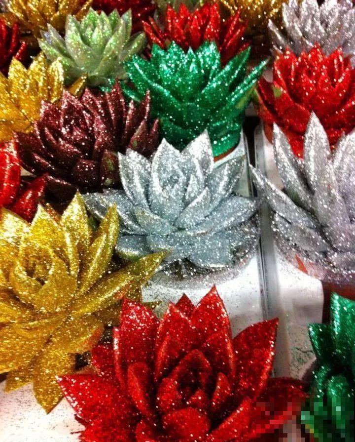 看见这花可别买，忍住，小心被忽悠，花钱买气受！